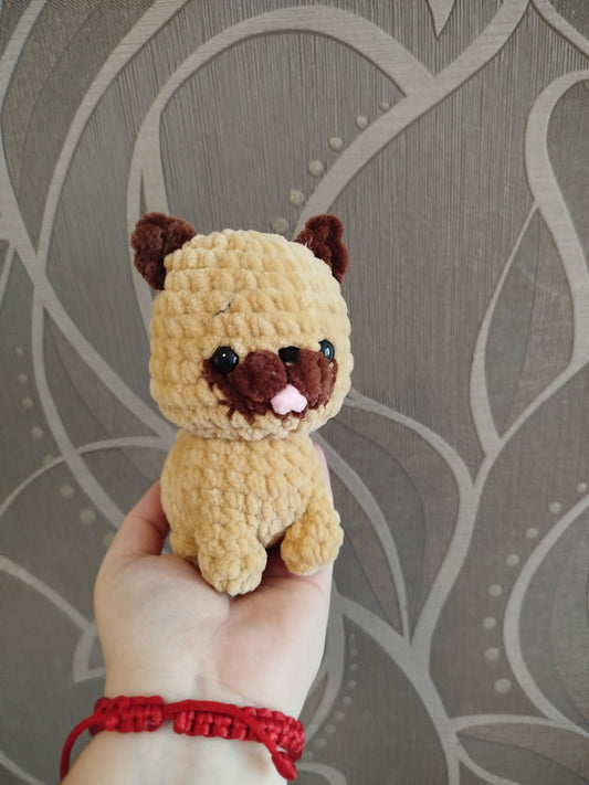 Mini mopsz kutyus