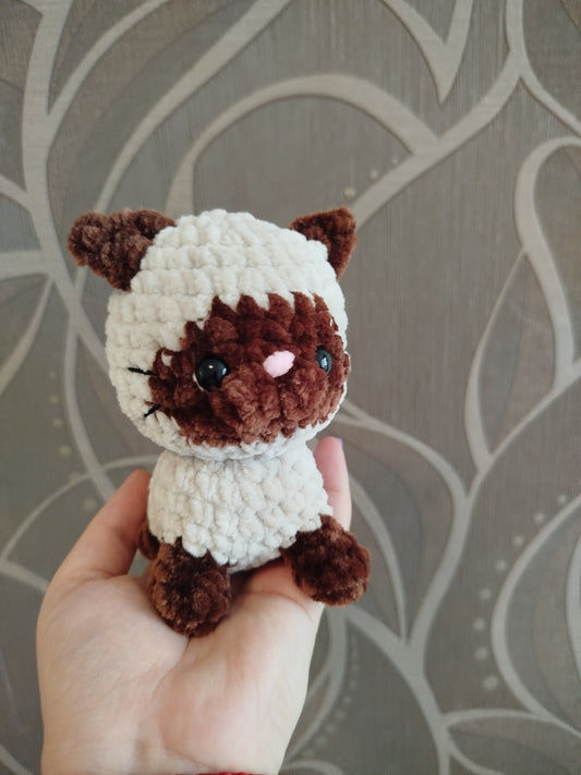 Mini sziámi cica